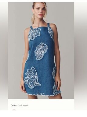 Anthropologie Maeve Denim Embroidered Mini